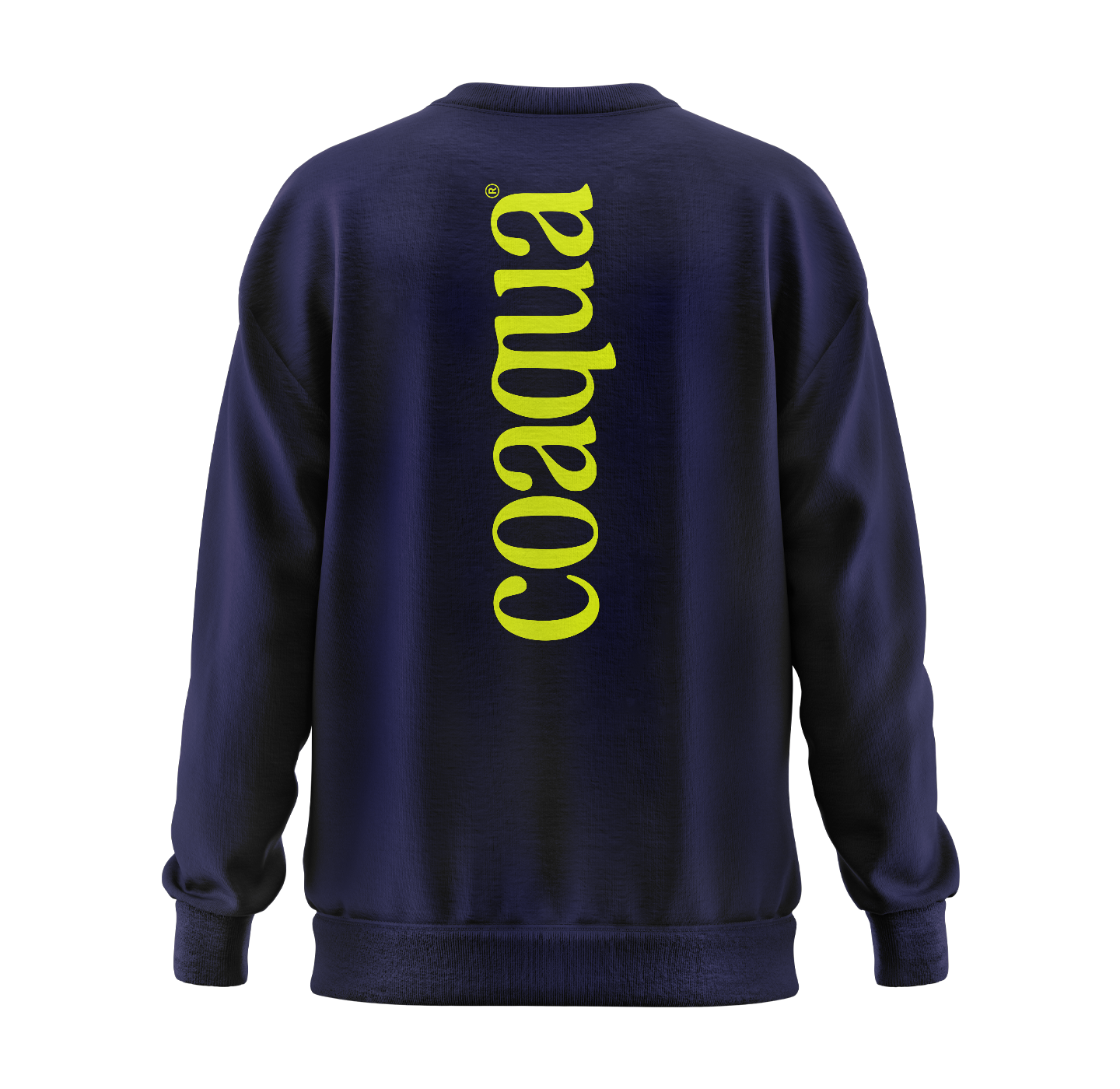 "Big Logo" Crew Neck Sweatshirt