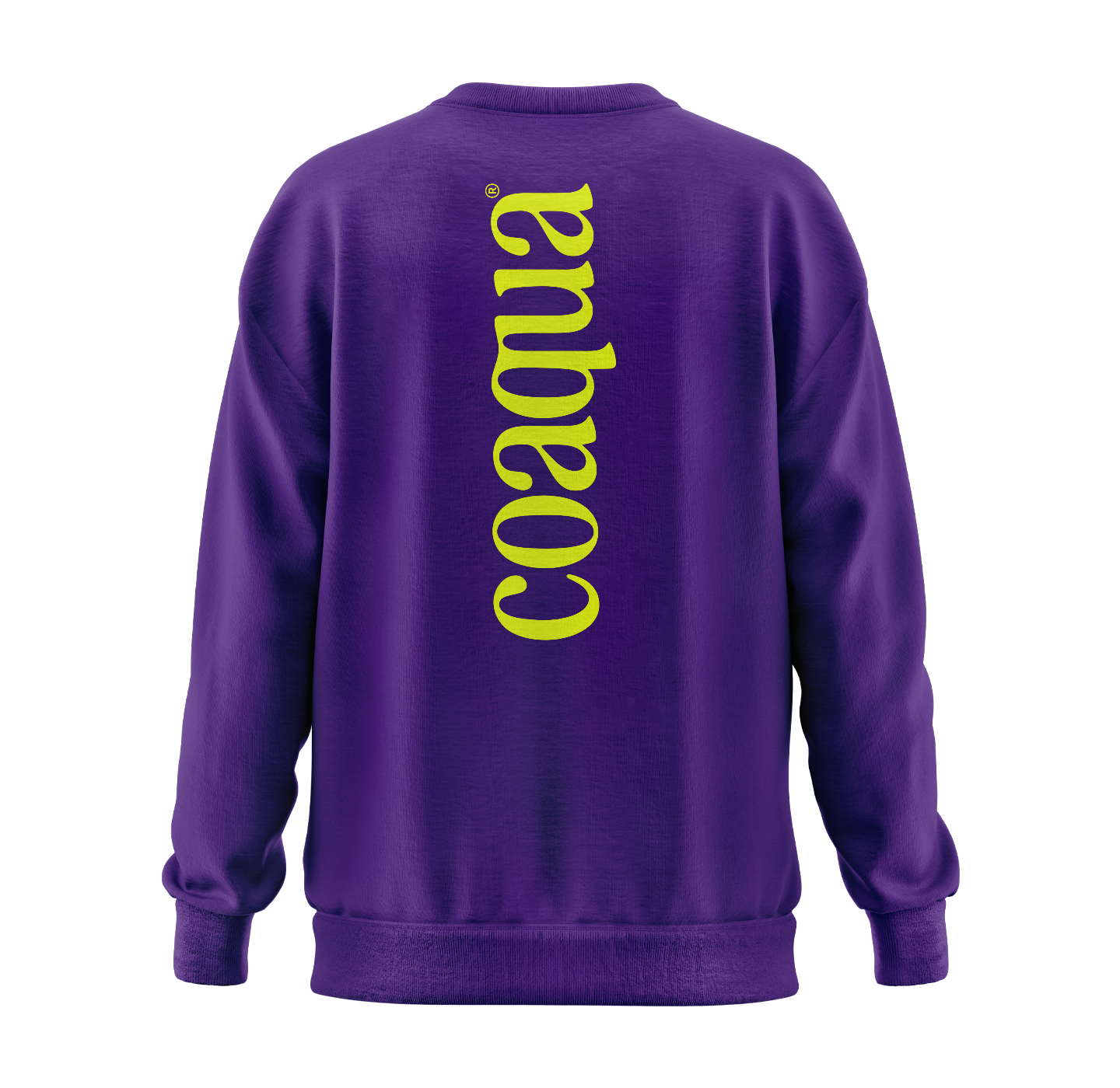 "Big Logo" Crew Neck Sweatshirt